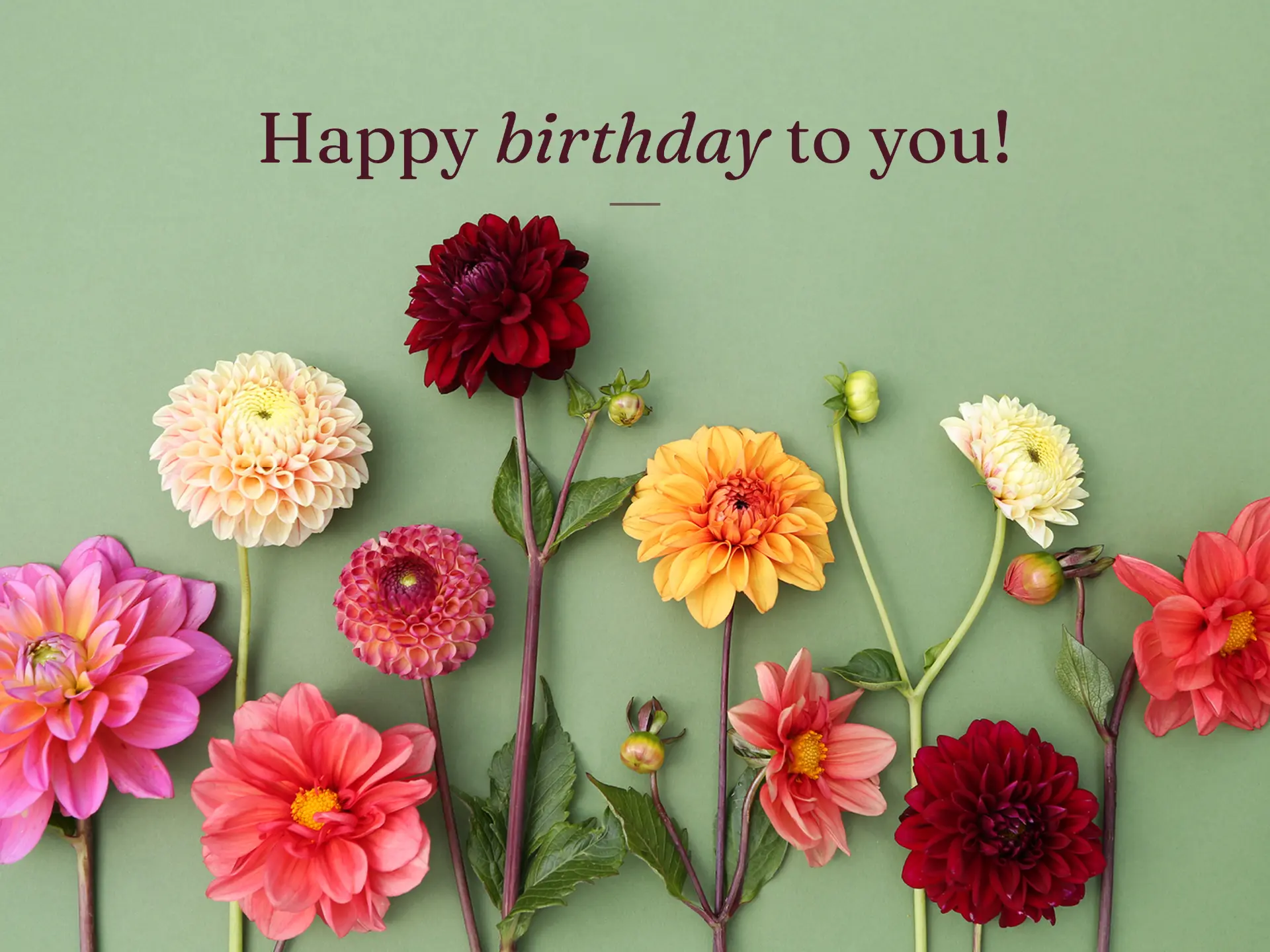 Happy birthday