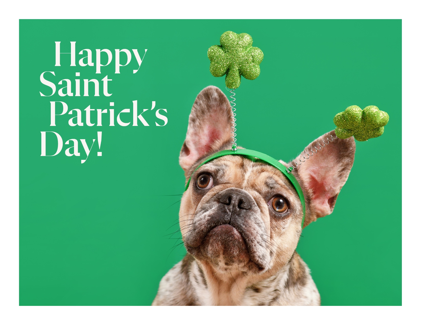 Saint Patrick's Day